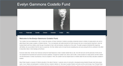 Desktop Screenshot of costellofund.com